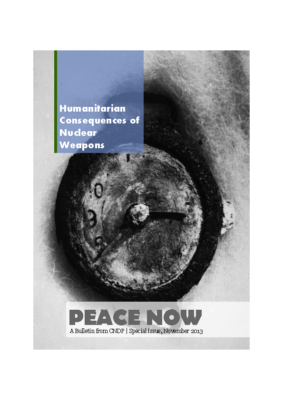 Peace Now – Special Issue  (November 2013)