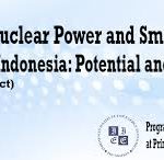 Nuclear Power and Small Modular Reactors in Indonesia: Potential and Challenges