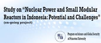 Nuclear Power and Small Modular Reactors in Indonesia: Potential and Challenges