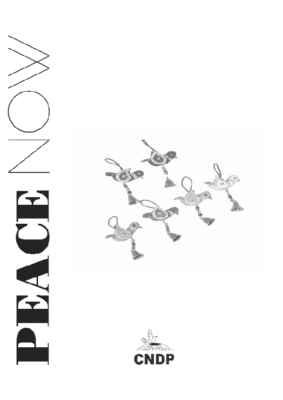 Peace-Now-Spl-Oct-2007